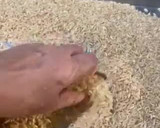 Foto del paso 4 de la receta: Harina de Arroz Integral : hazla en casa 🙌💪