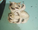 Foto del paso 3 de la receta: Crema de champiñones elegante