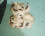 Foto del paso 3 de la receta: Crema de champiñones elegante