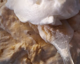 Foto del paso 6 de la receta: Pastel Tres leches de durazno y fresa