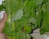 Foto langkah ke 2 dari resep Sayur Temu Kunci (Bayam Gambas).