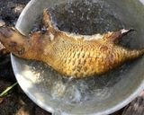 Hình bước làm 1 của món NHÍM XÀO LĂN