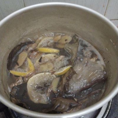 Langkah 6