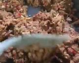 Gambar langkah 3 resipi Pes Nasi Ulam.