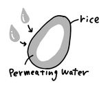 A picture of step 2 of Boiled white rice, used a pot with lid.