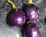 A picture of step 1 of Curd eggplant sabji.