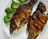 Foto langkah ke 8 dari resep Ikan Mas panggang oven.