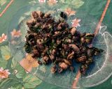 Une image de l'étape 7 de Champignons de Paris bruns sautés à la coriandre.