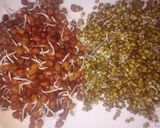 A picture of step 1 of Sprouts chat.