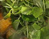 Foto langkah ke 5 dari resep Sayur Bening Sejuta Umat.