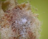 Foto langkah ke 2 dari resep Long Potato Fries.