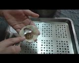 Foto langkah ke 2 dari resep Gyoza ayam chicken dumpling.