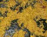 Foto langkah ke 1 dari resep *Soto kuning Bogor*.