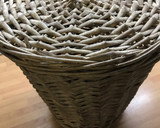 Foto del paso 1 de la receta: Caracoles a mi estilo