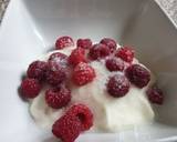 Rasberry ice cream dessert