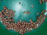 Sayur Asem Jakarta