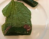 Hình bước làm 3 của món Bò lá lốt