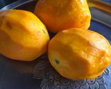 ગ્રીક યોગર્ટ વિથ મેંગો (Greek Yoghurt With Mango Recipe In Gujarati) રેસીપી સ્ટેપ2ફોટો