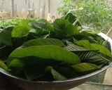 Hình bước làm 3 của món Nem chạo chay (nấm bào ngư)