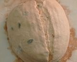 Foto langkah ke 14 dari resep Pumpkin Sourdough Bread.