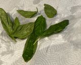 Foto del paso 7 de la receta: Fettuccine con burrata