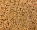 Foto del paso 4 de la receta: Masa para tarta o empanadas integral con semillas