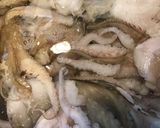 A picture of step 2 of California Farm Pickled Seaweed Kelp with Calamari.