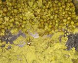 A picture of step 1 of Green peas paratha.