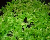 Hình bước làm 2 của món Kho Quẹt Chay (với Khổ Qua)