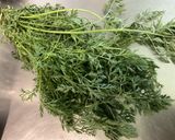Une image de l'étape 1 de Cheveux d’ange aux fanes de carottes, lard fumé et pecorino.
