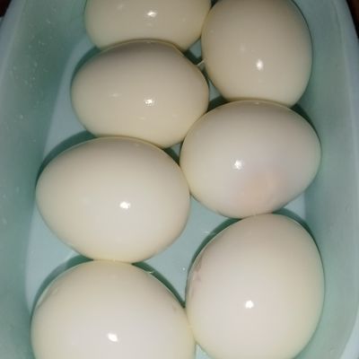 Langkah 1