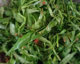 Foto langkah ke 2 dari resep Tumis Kangkung Enoki.