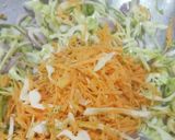 A picture of step 3 of Spring roll.