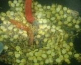 A picture of step 1 of Sambar Masala.