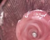 A picture of step 2 of Falsa Slush /Grewia slush💜.