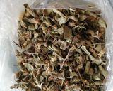 Foto del paso 3 de la receta: Chipotles adobados