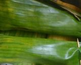 Foto langkah ke 3 dari resep Pepes Ikan Asin Peda.