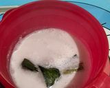 Foto langkah ke 2 dari resep Es Cincau Santan gula merah.