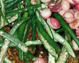 A picture of step 3 of Karonda & Green Chilli Pickles.
