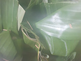 Carang Gesing