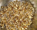 मटकीचे सलाद (mataki che salad recipe in marathi) रेसिपी स्टेप 2 फोटो 