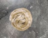 A picture of step 5 of Bathua Laccha Paratha.