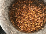 Walnut dukkah