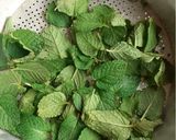 Foto langkah ke 2 dari resep Teh Mint Murni/ Pure Mint Tea (Tanpa tambahan Teh).