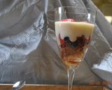 A picture of step 9 of Fruity Rice Pudding  فرنی میوه ای.
