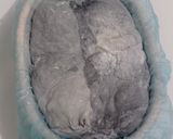 Foto langkah ke 19 dari resep Yin Yang Sourdough Bread (92% - Oven Tangkring).