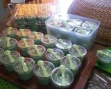 Foto langkah ke 10 dari resep Srikayo Palembang Part 2.
