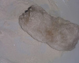 Foto del paso 7 de la receta: Guiso del mar