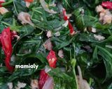 Foto langkah ke 2 dari resep Tumis Daun Pepaya Jepang.