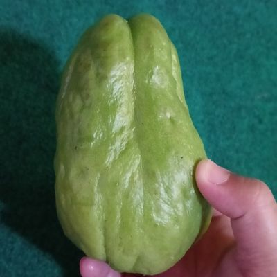 Langkah 1